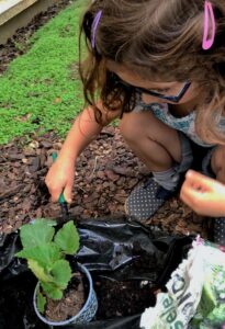 Retrouvez chaque première semaine des vacances scolaires, les stages pour enfants des Ateliers La Baleine