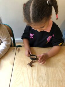 Enfant qui observe à la loupe pendant le stage de vacances — Montessori La Baleine Paris