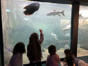 Sortie aquarium pendant le stage de vacances pour enfants à Paris — Montessori La Baleine
