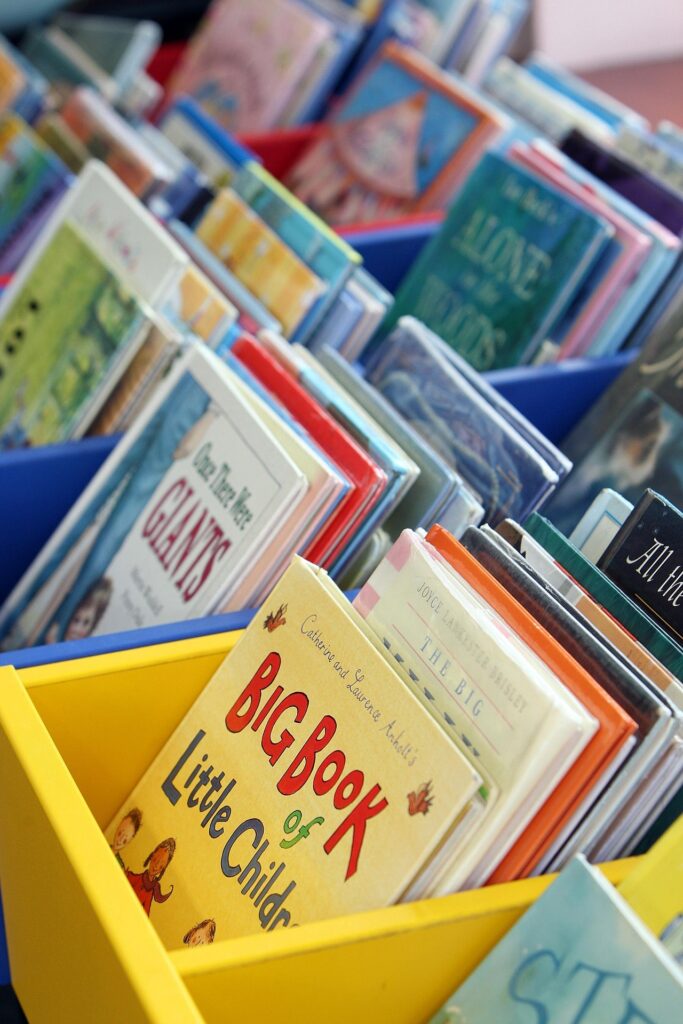 Bacs contenant des livres pour enfants dans un espace de lecture.